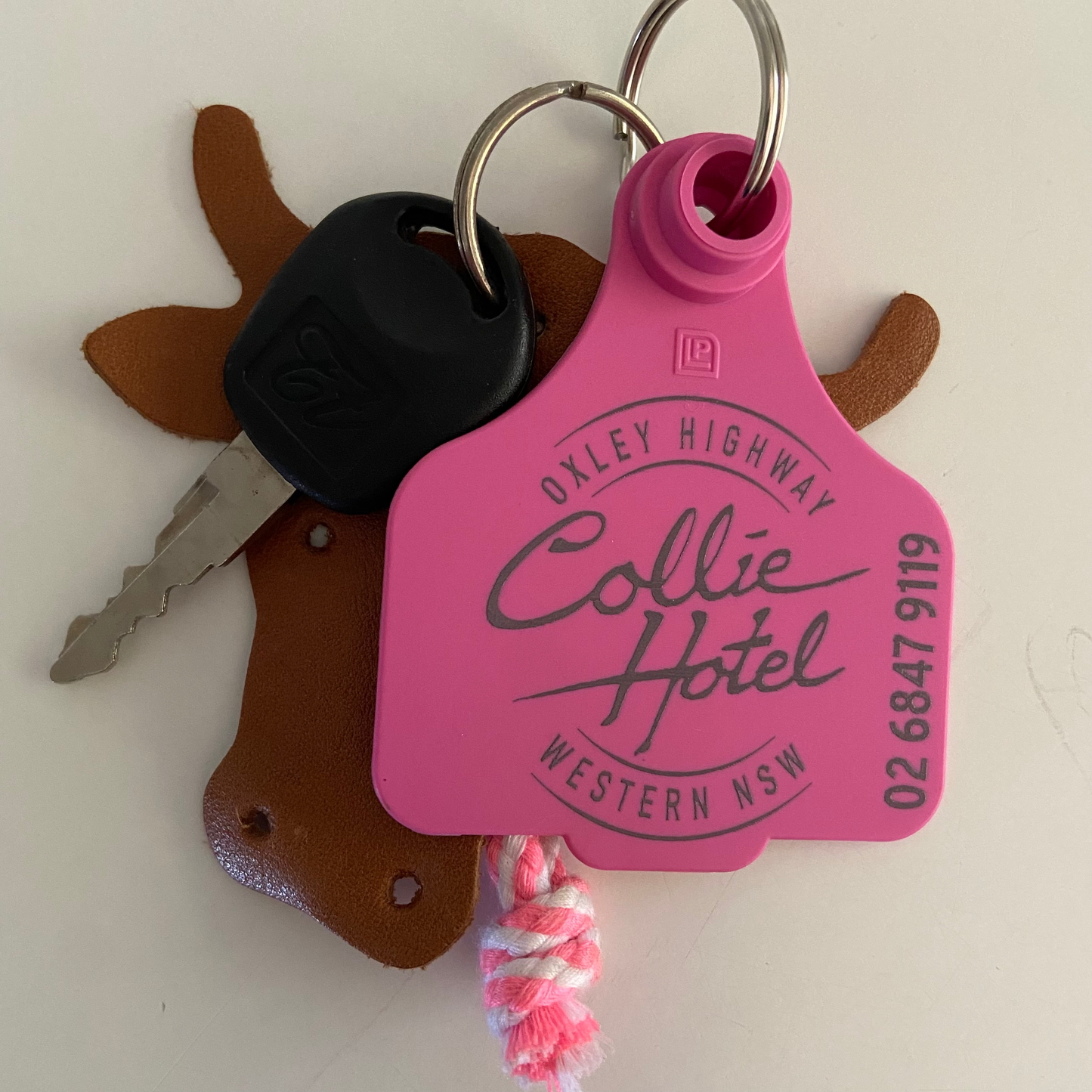 Cattle Tag